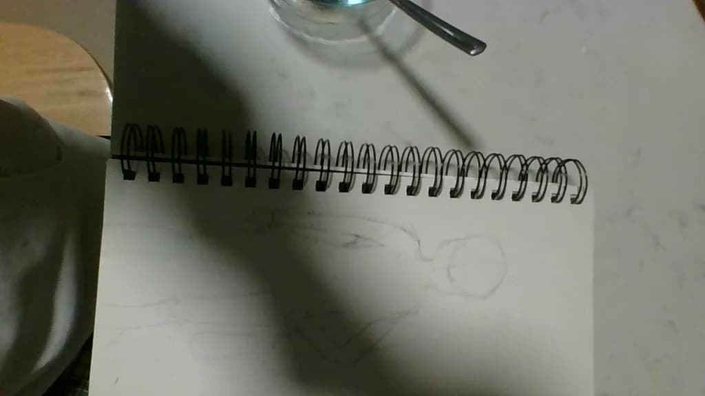 Spiral Silhouette