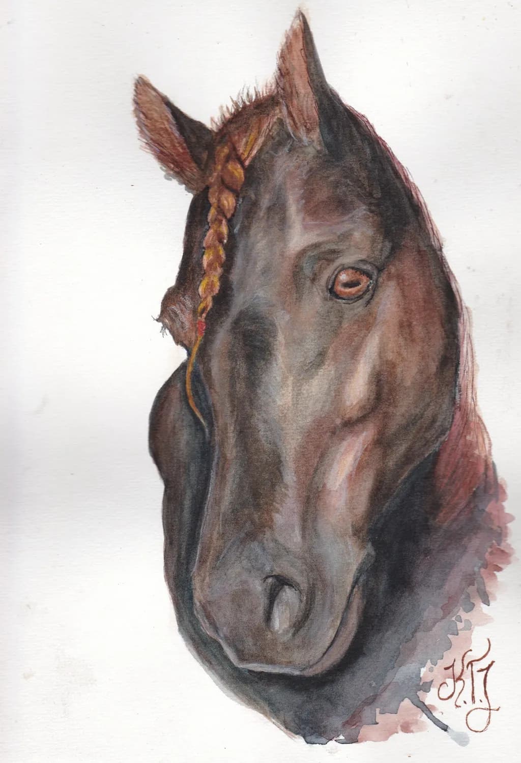 Braided Mane Horse Portrait