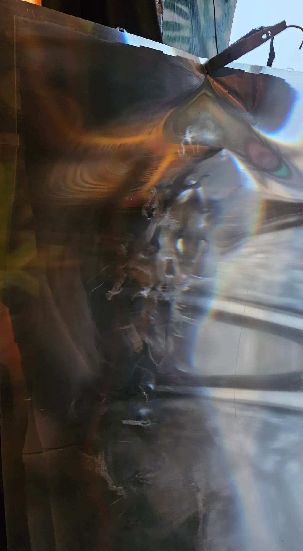Distorted Reflection