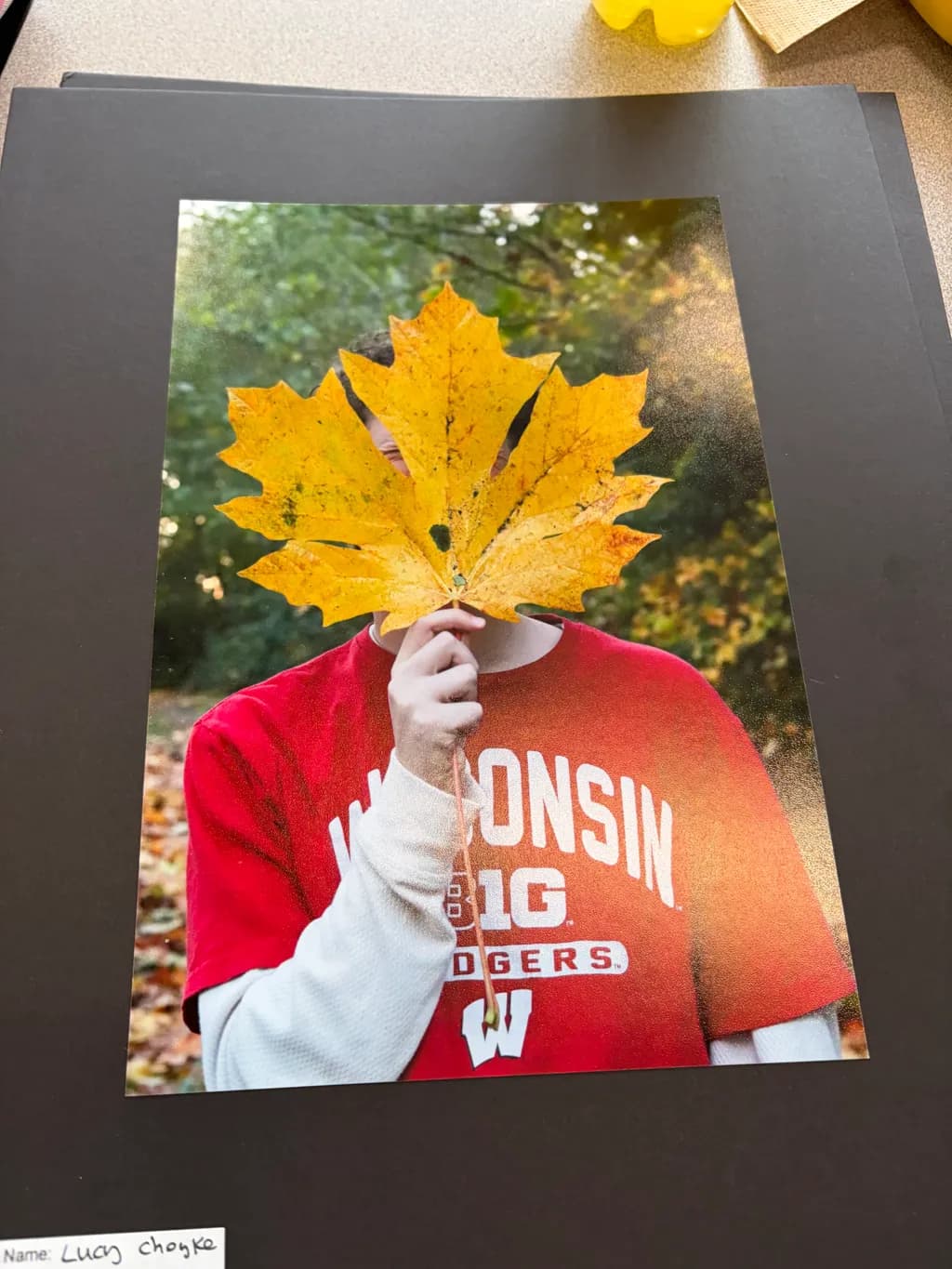 Hidden in Fall