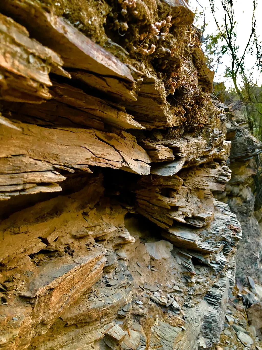 Layered Earthscape