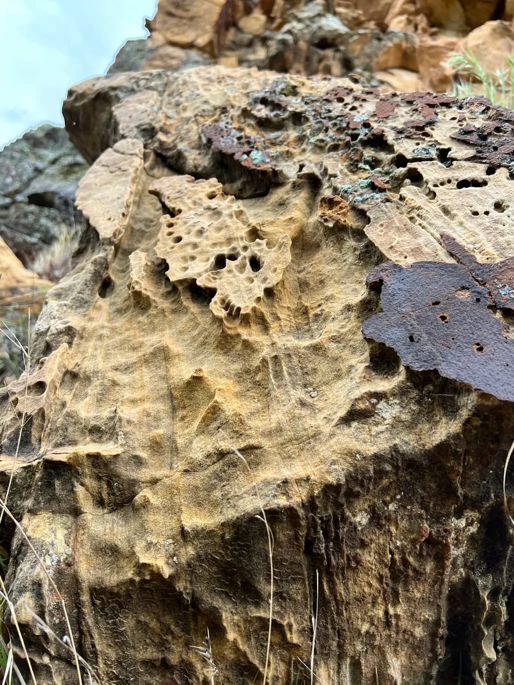 Weathered Textures