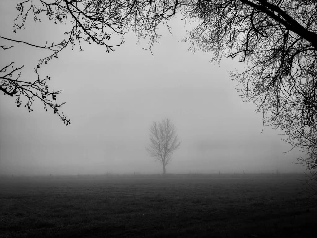 Silent Silhouette