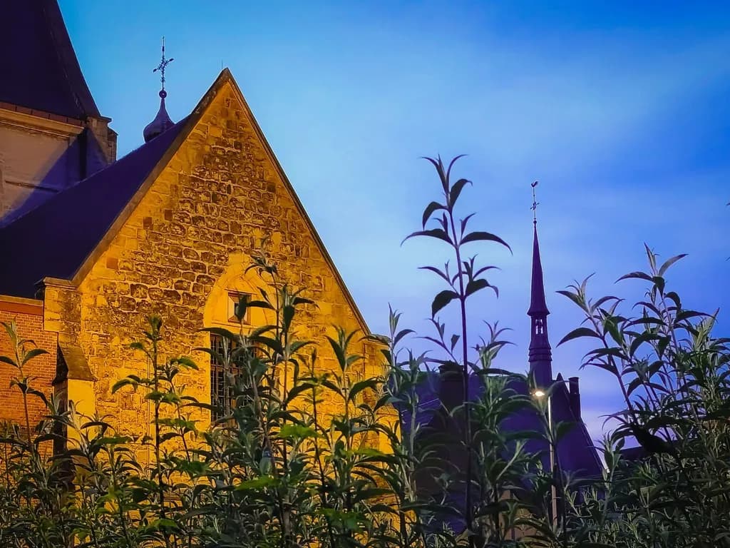 Twilight Spires