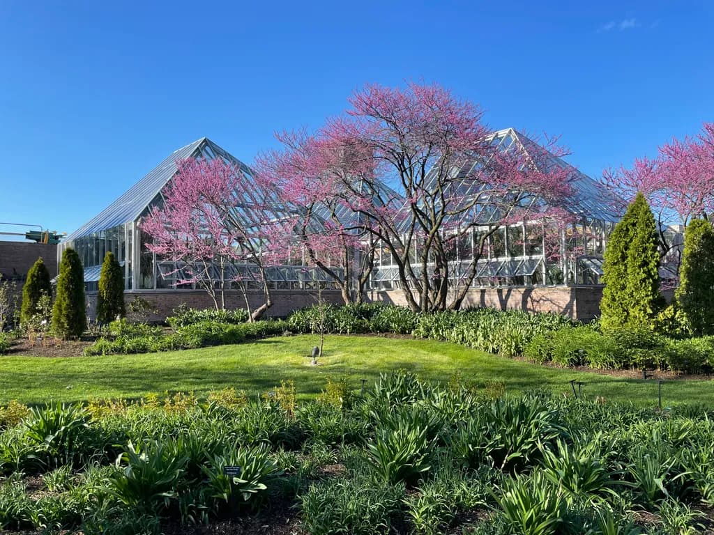 Spring Glasshouse Bloom