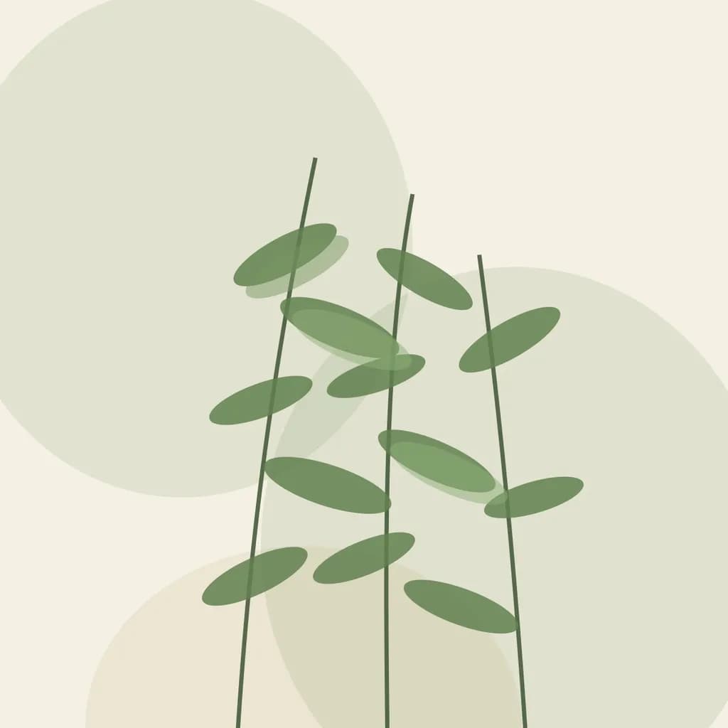 Fern Study