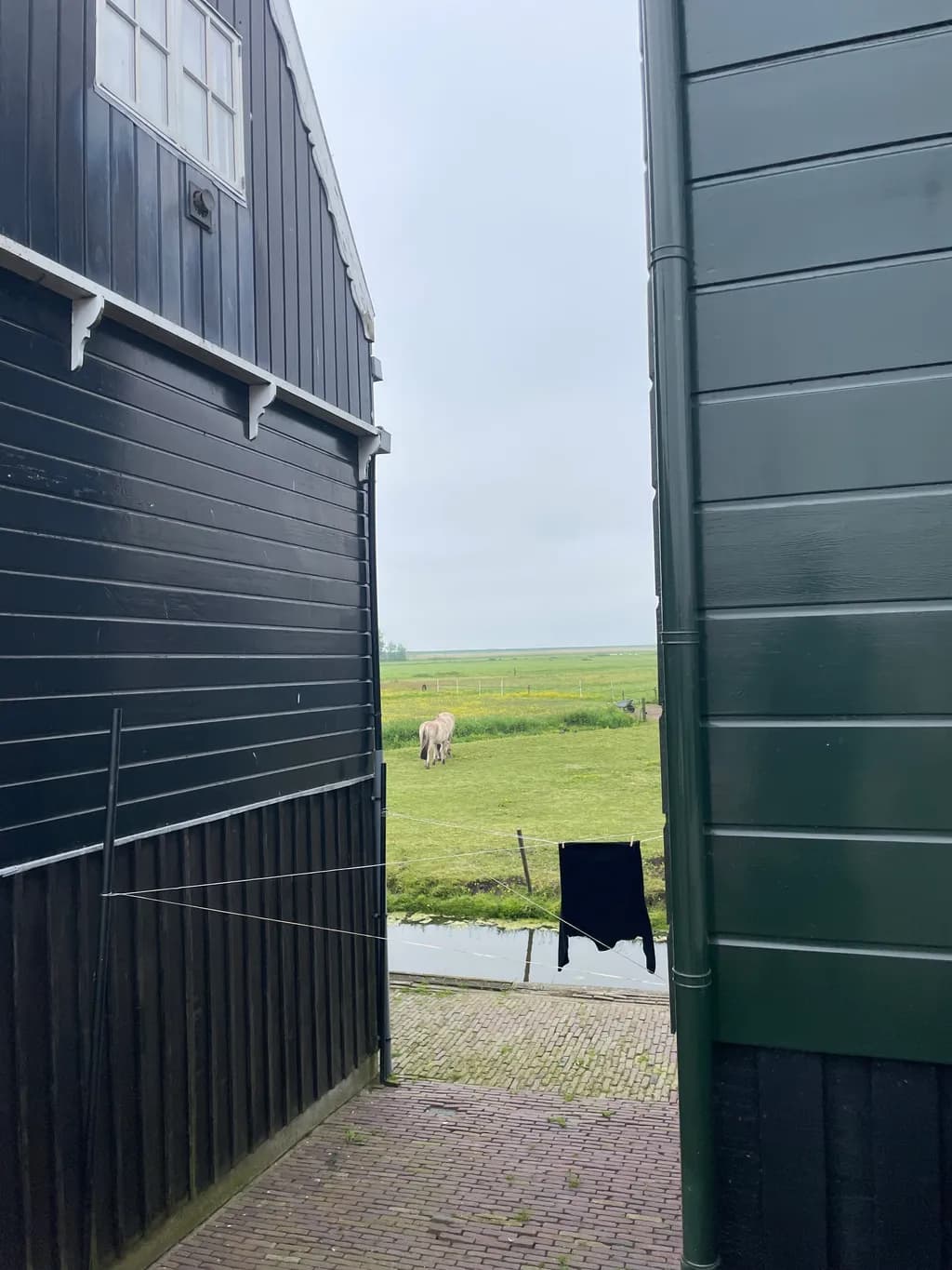 Between the Barns