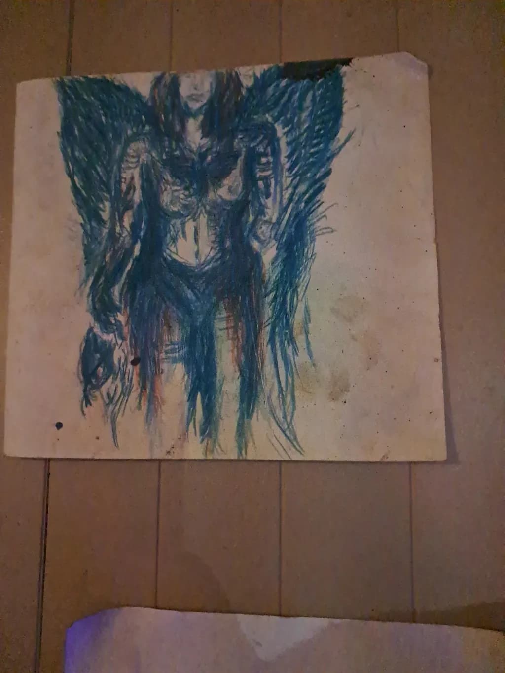 Shadowed Wings