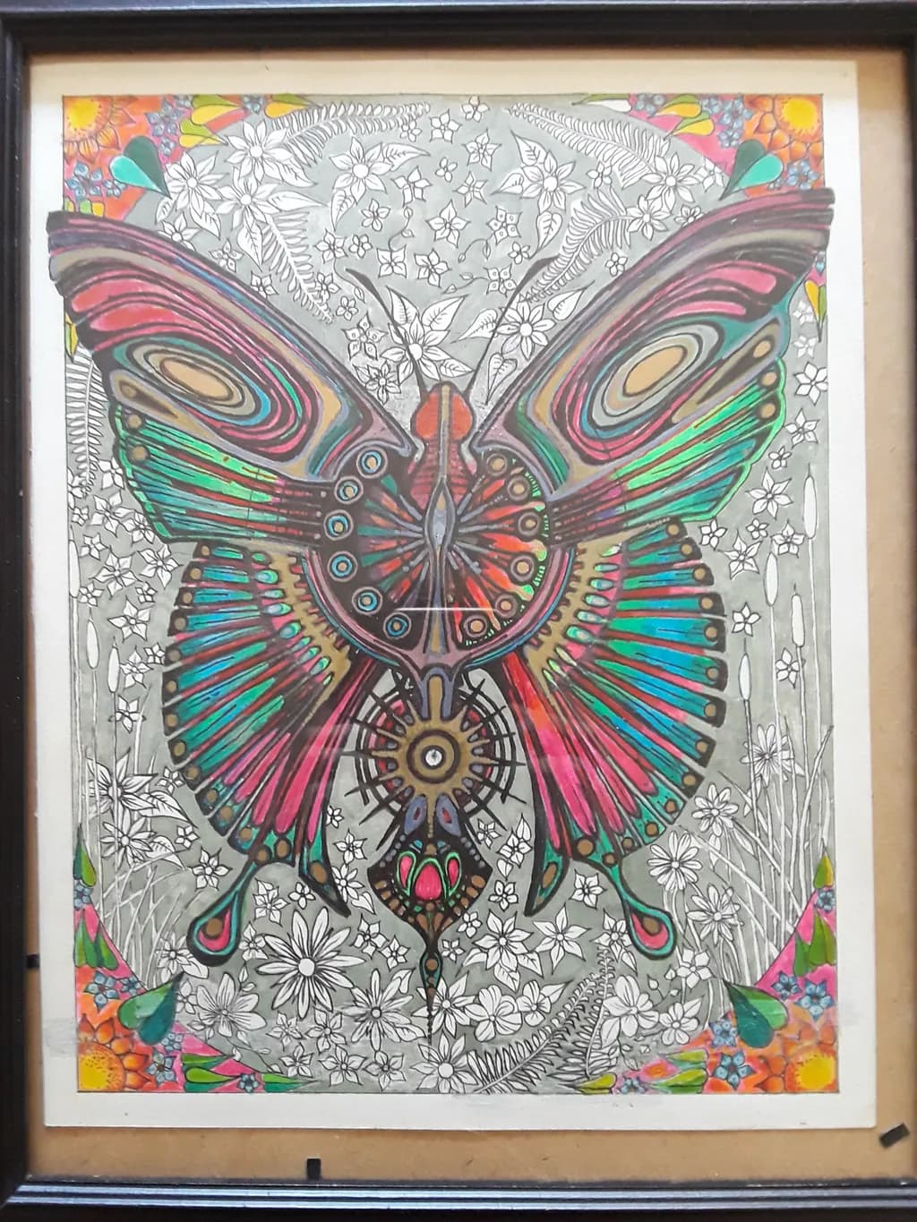 Chromatic Metamorphosis
