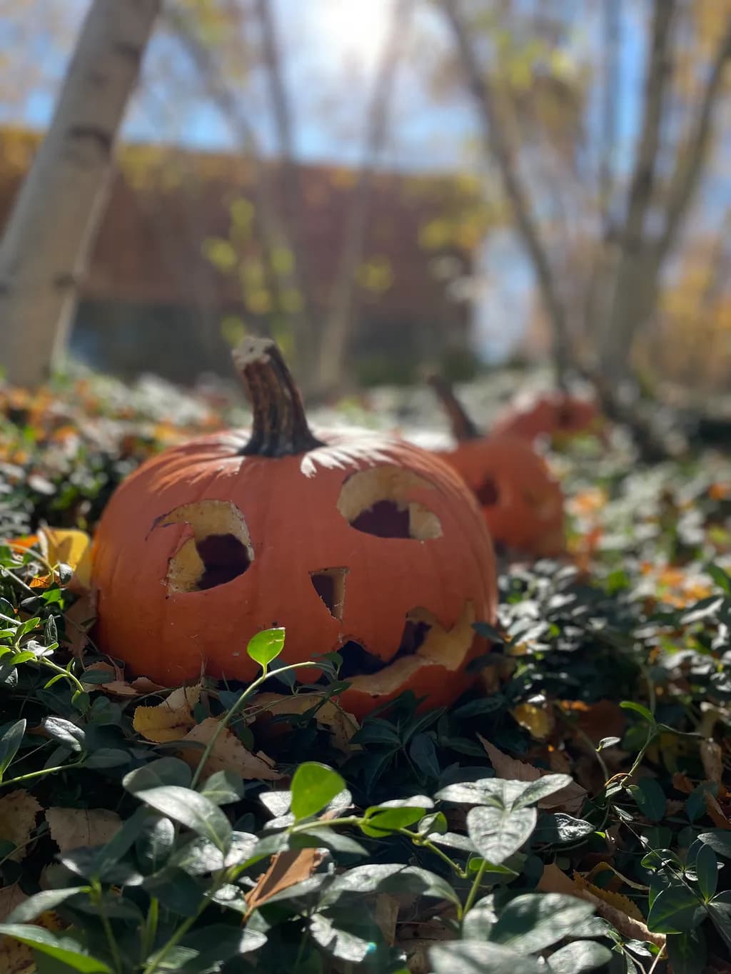 Faded Jack-o'-Lantern
