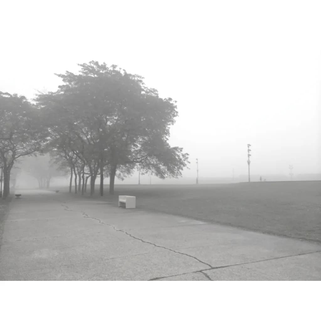 Silent Pathway