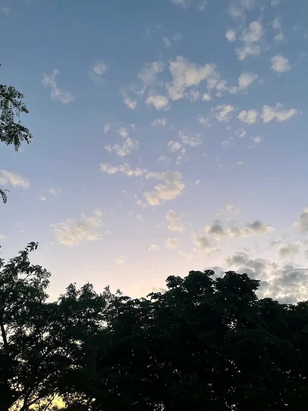 Quiet Dusk Silhouettes