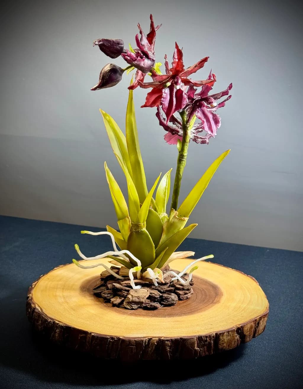Crimson Orchid on Wood