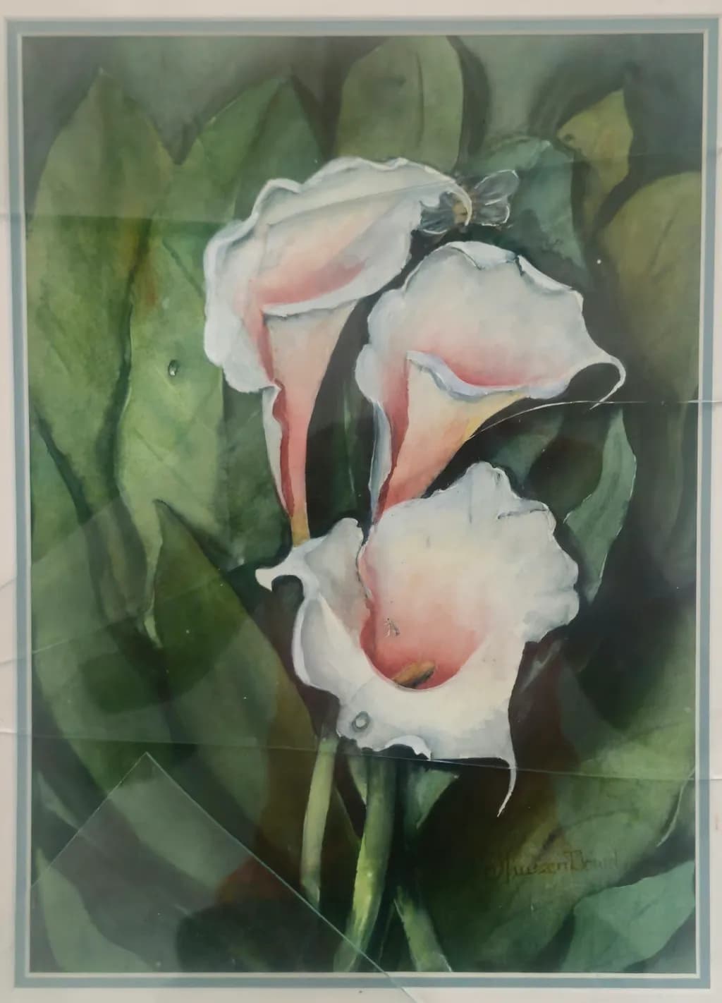 Calla Trio