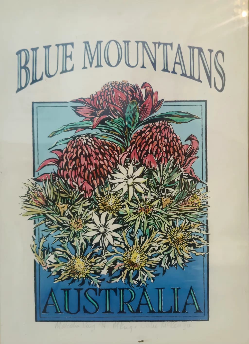 Blue Mountains Flora
