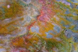 Subtle Mosaic