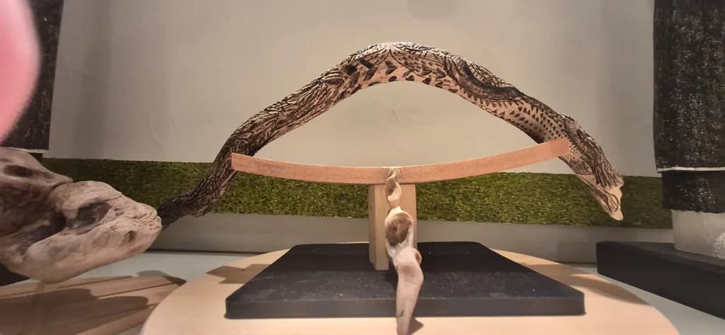Curved Balance