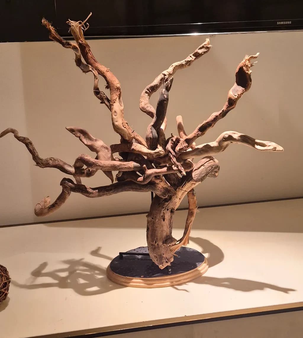 Interwoven Driftwood