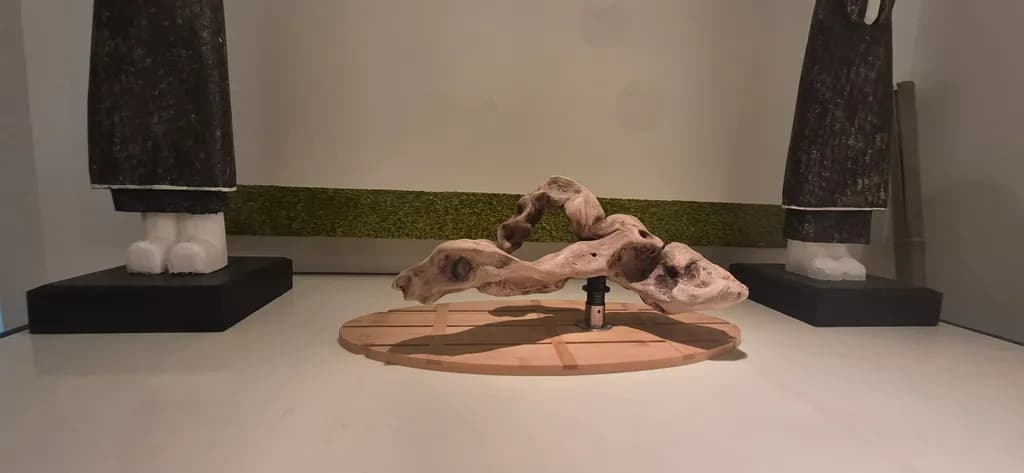 Curved Driftwood