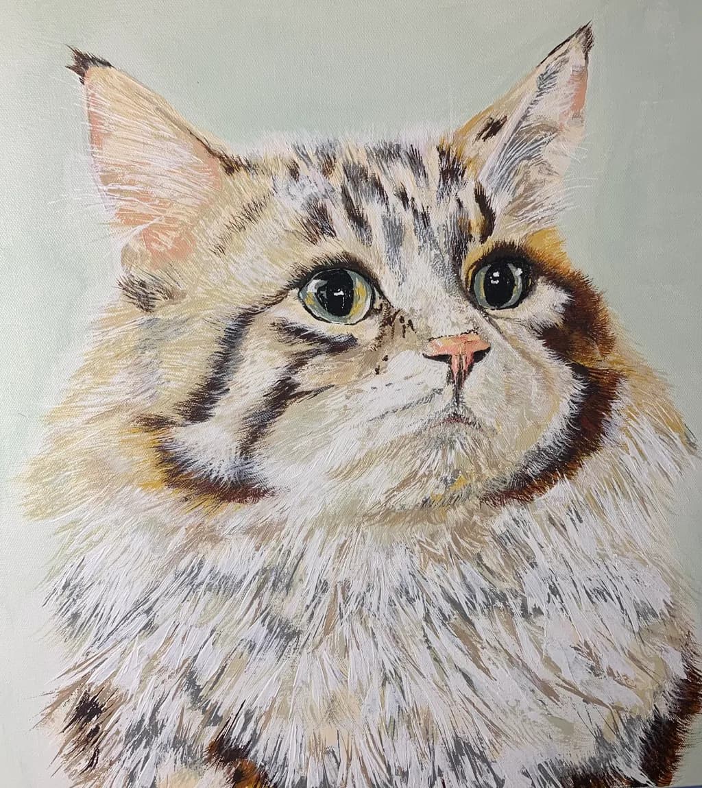 Pensive Tabby