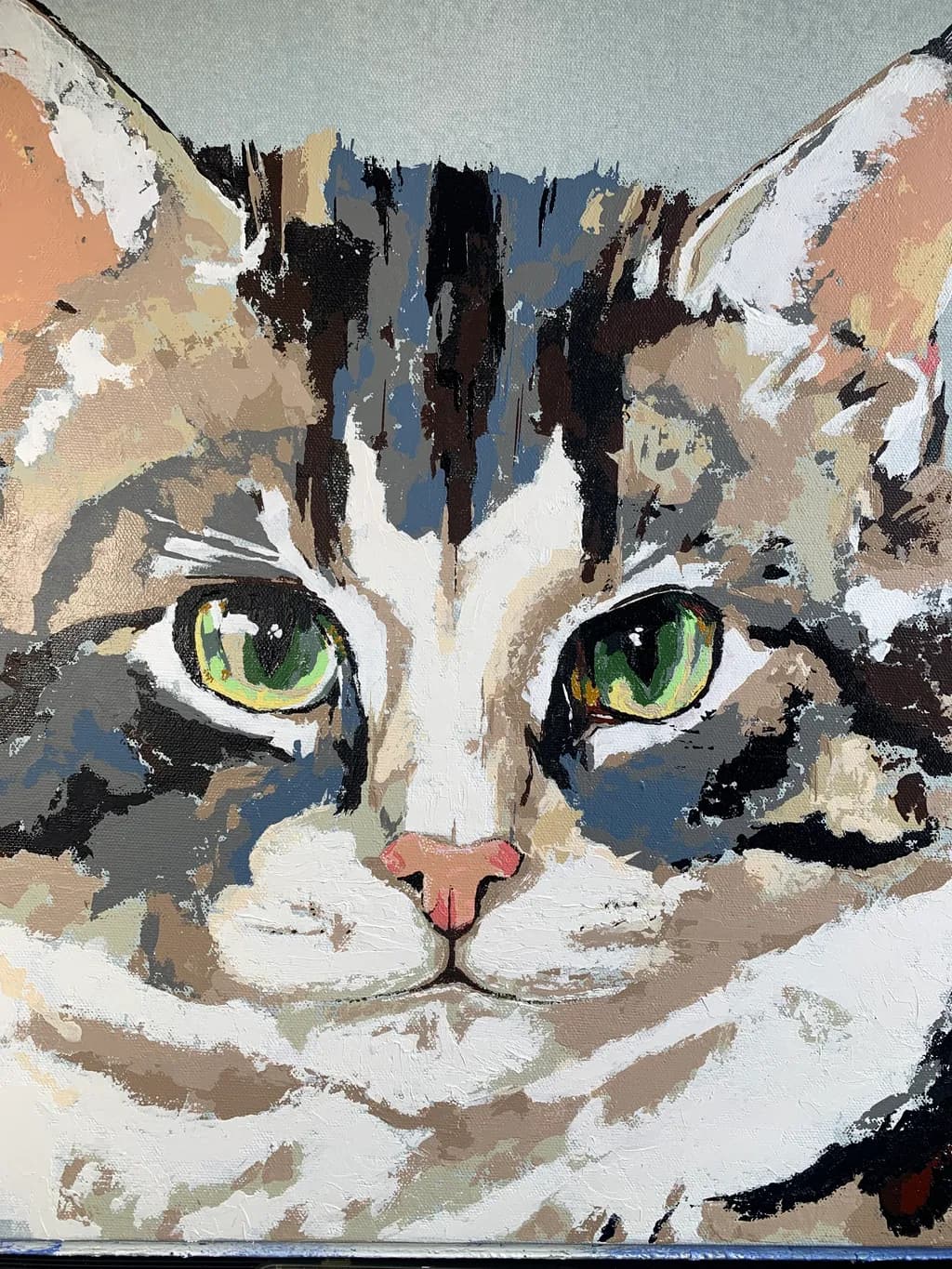 Feline Gaze