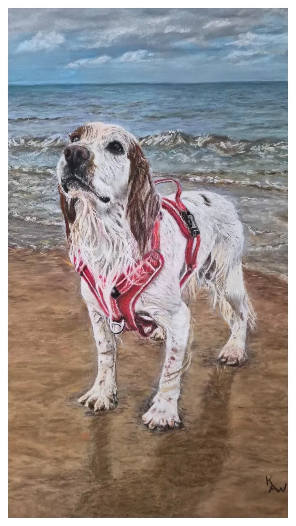 Beachside Watchdog