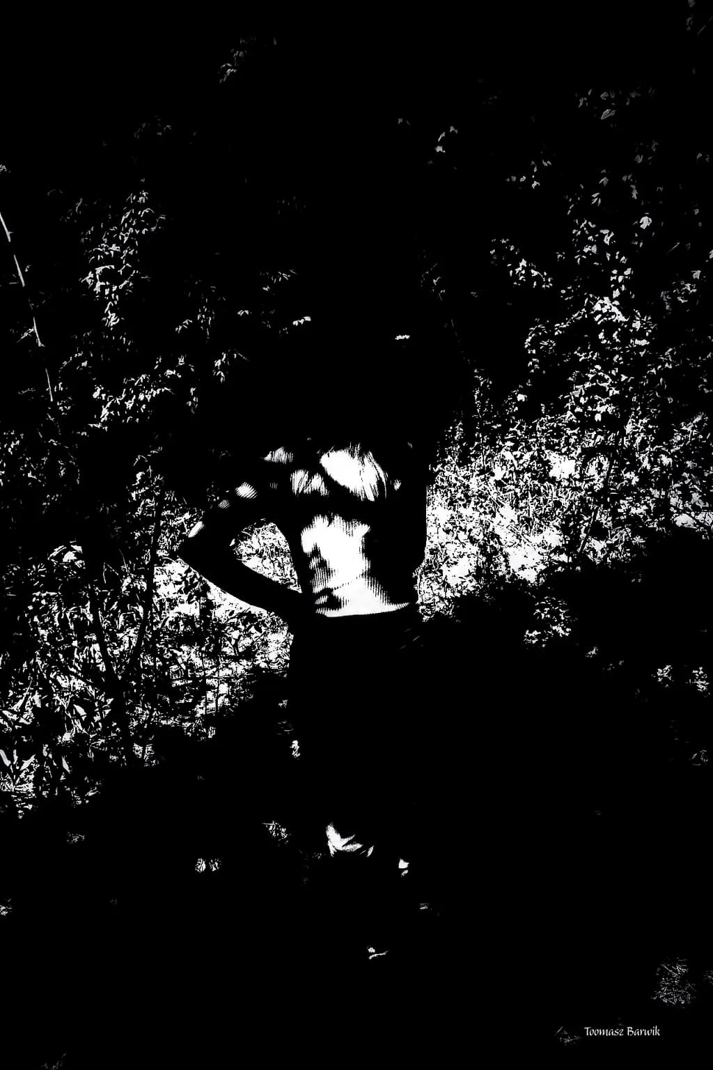 Shadowed Silhouette