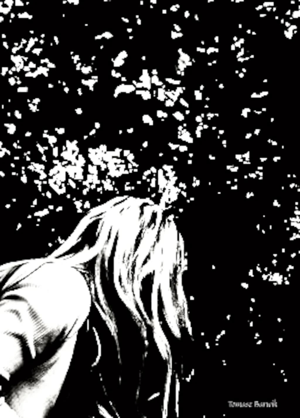 Hidden Silhouette
