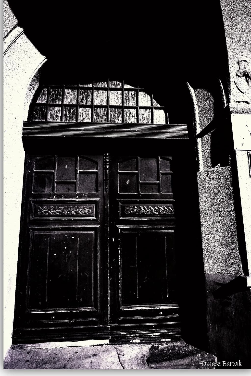 Shadowed Portal