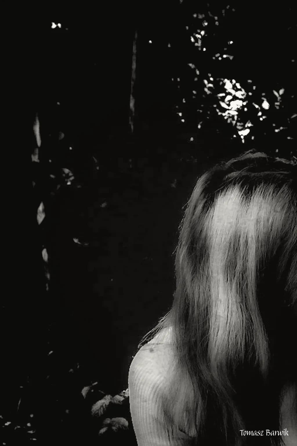 Veiled Shadows