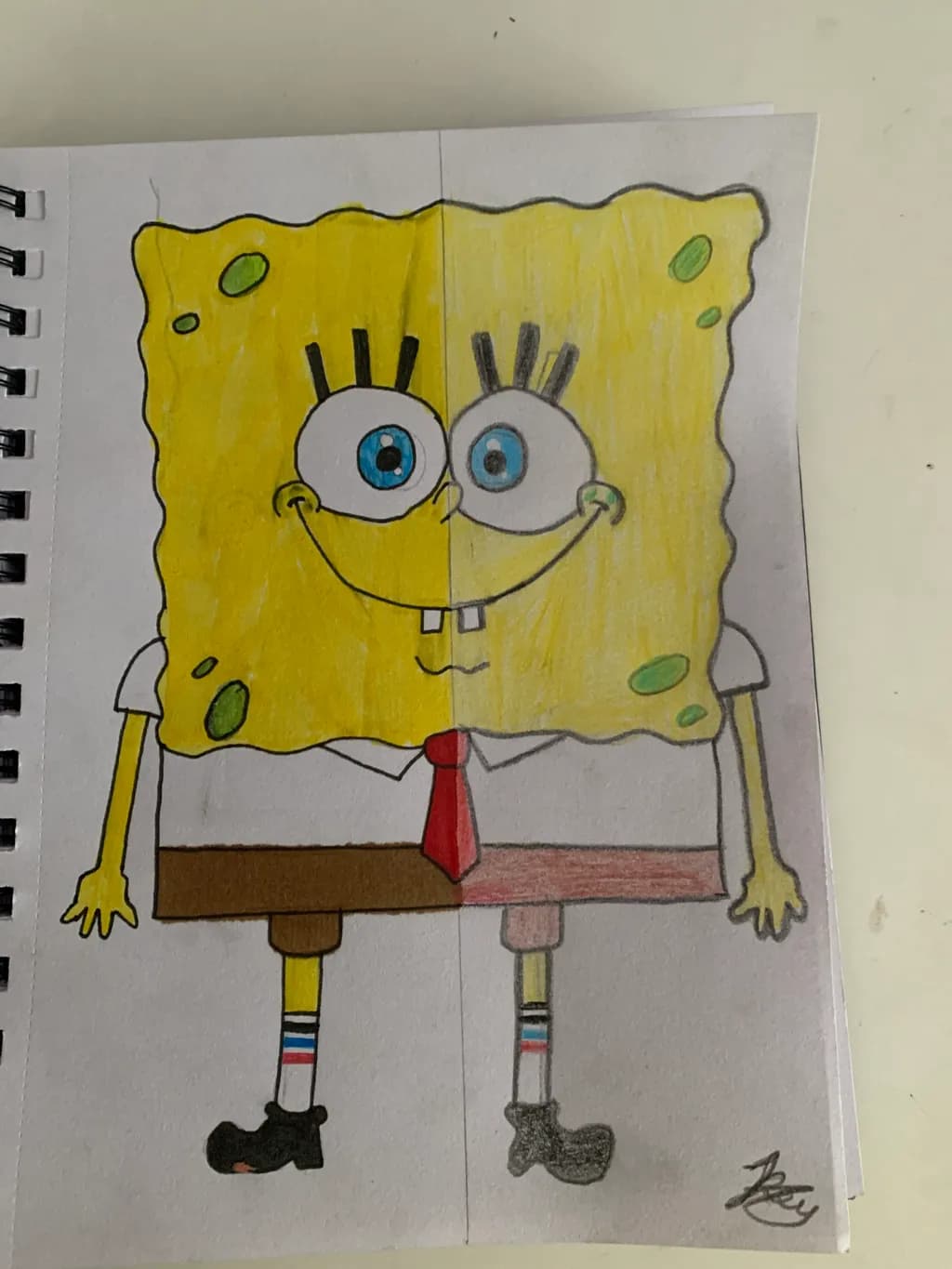 Split Sponge