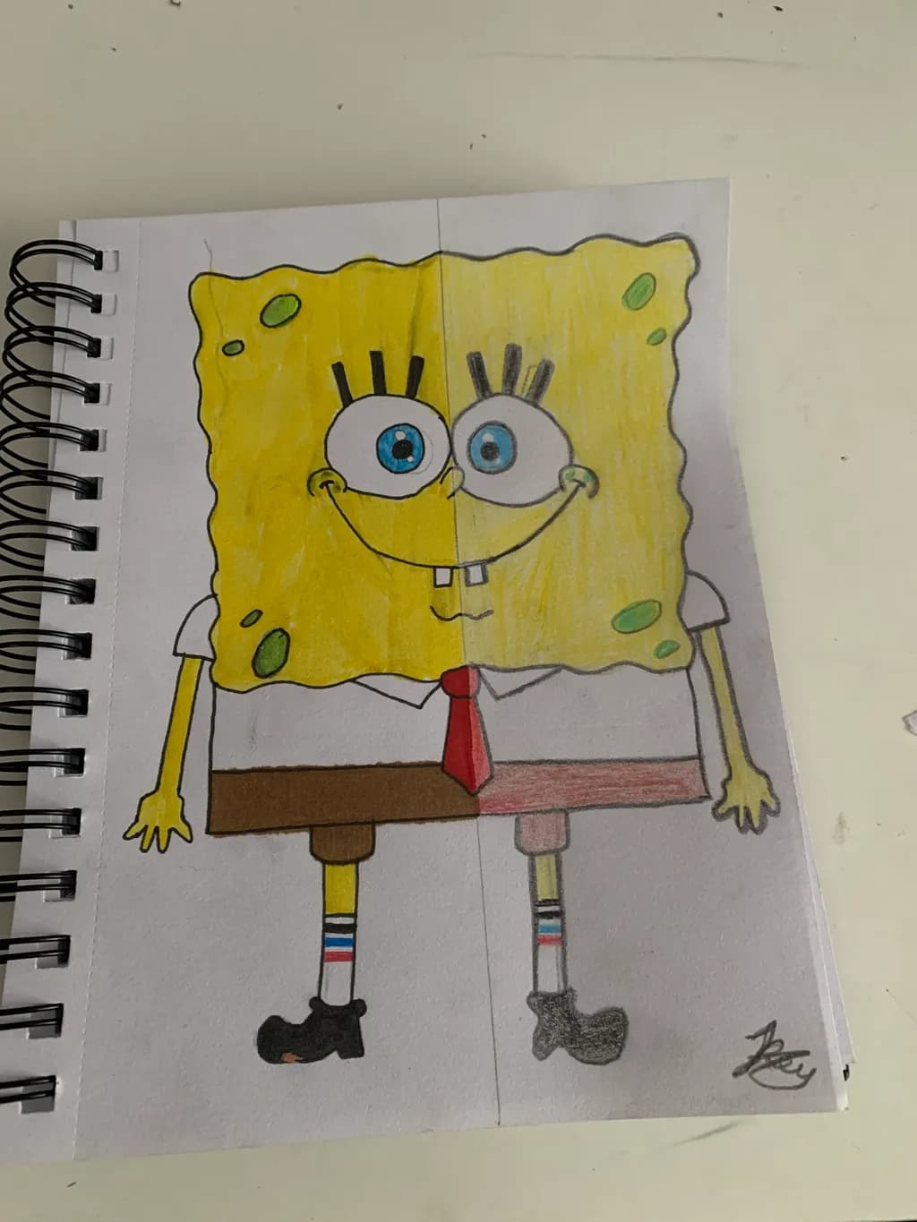 Split Sponge