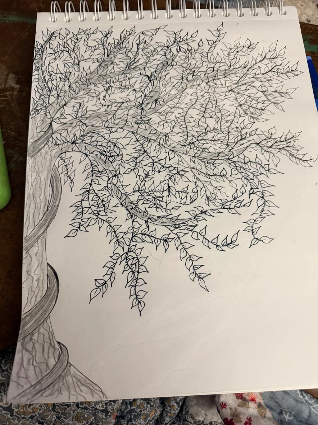 Entwined Branches