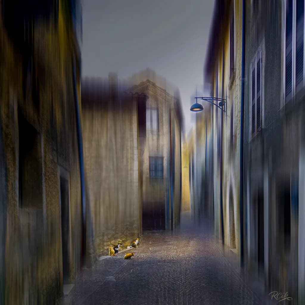 Cat Alley Shadows