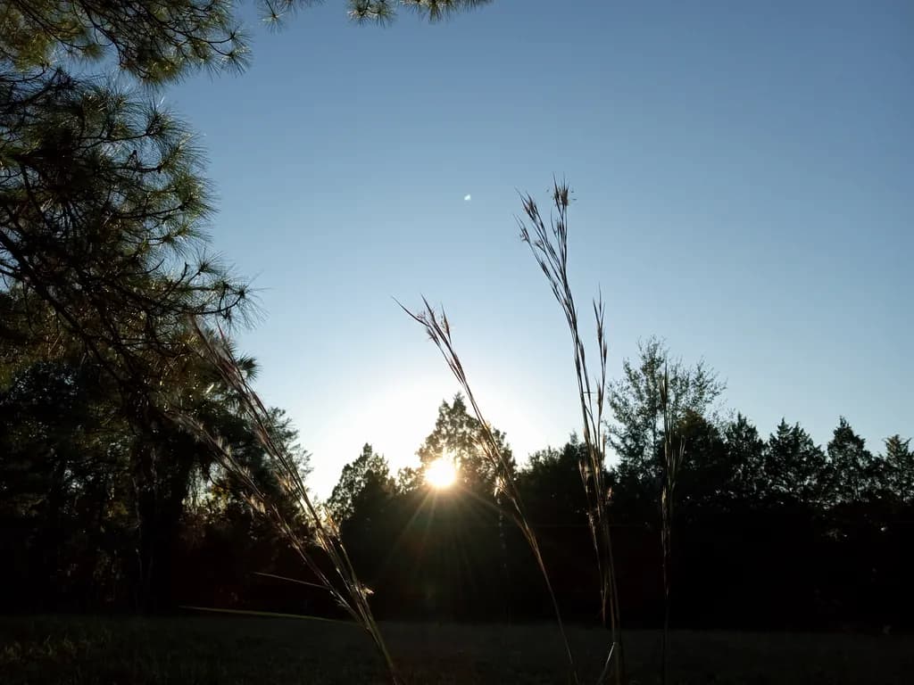 Sun’s Sneaky Peek