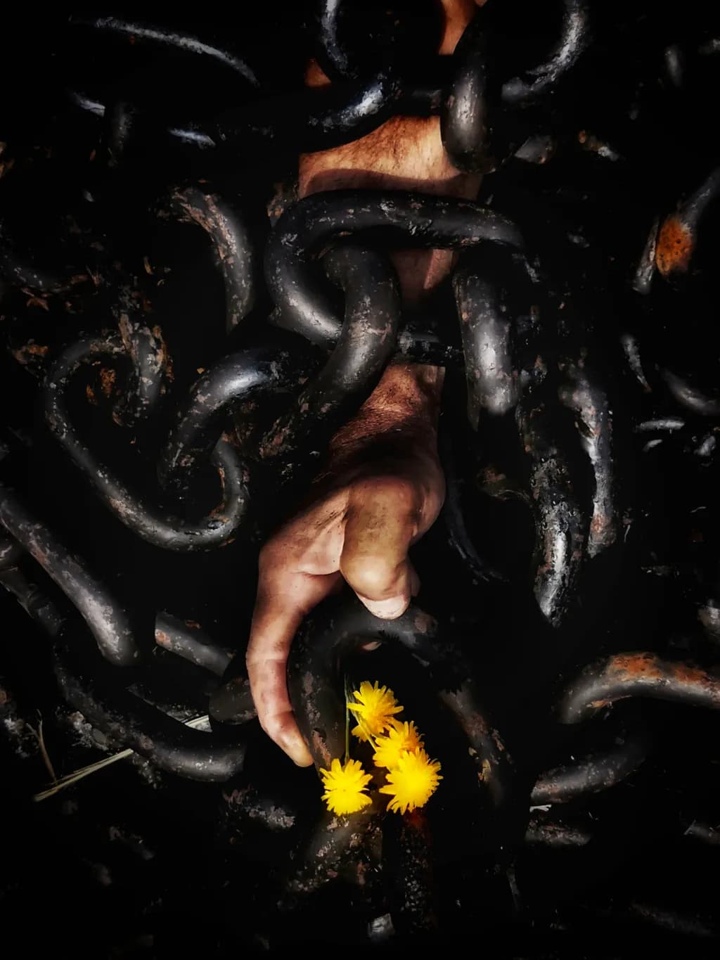 Resilience in Chains