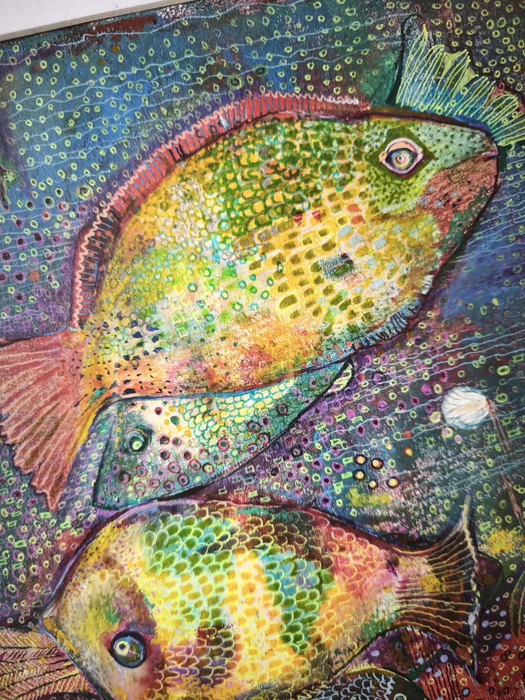 Chromatic Shoal