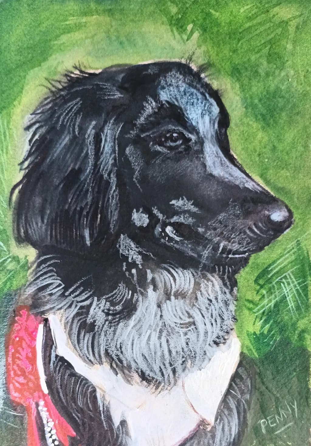 Black and White Companion