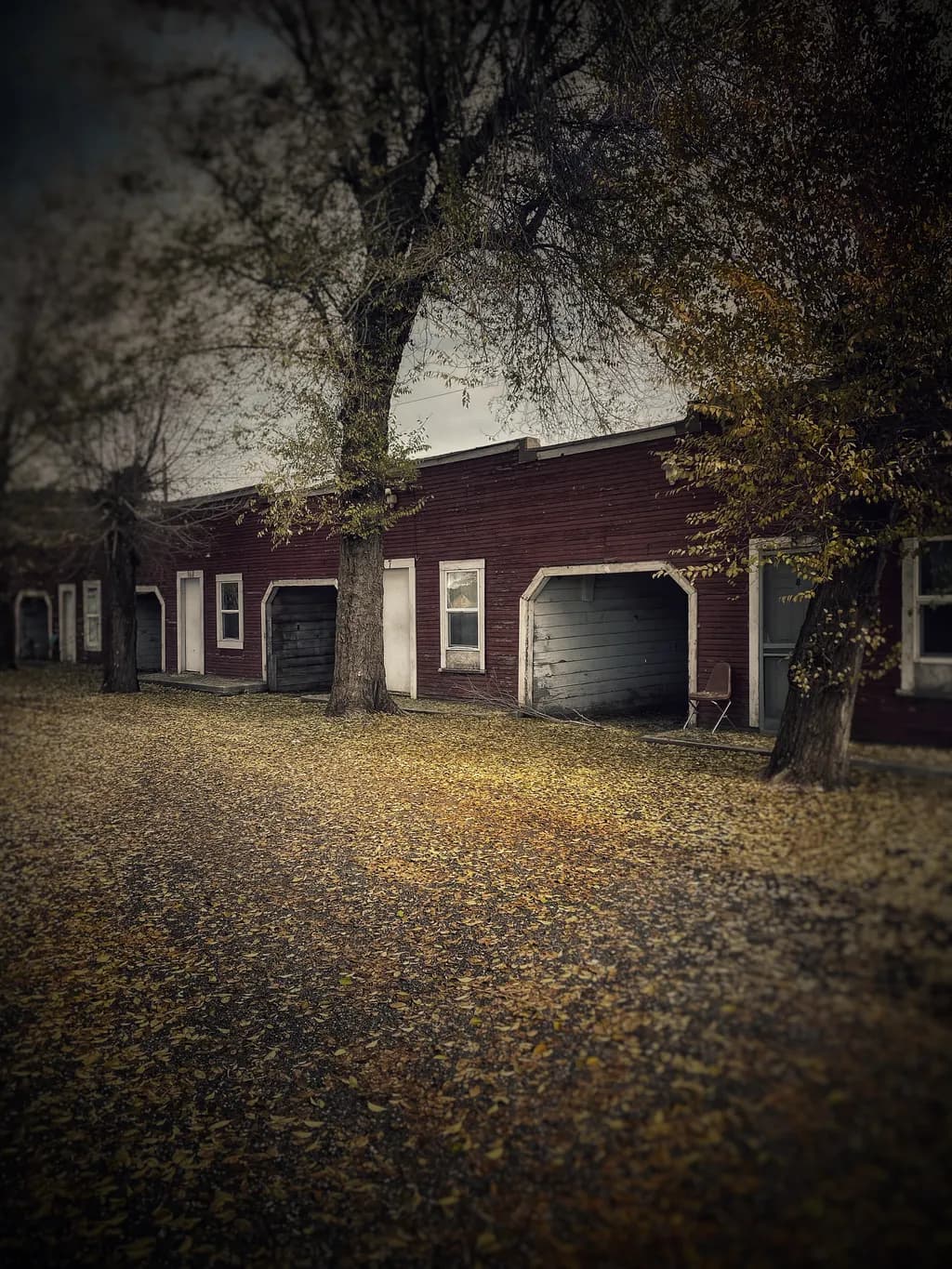 Fallen Leaves Shelter