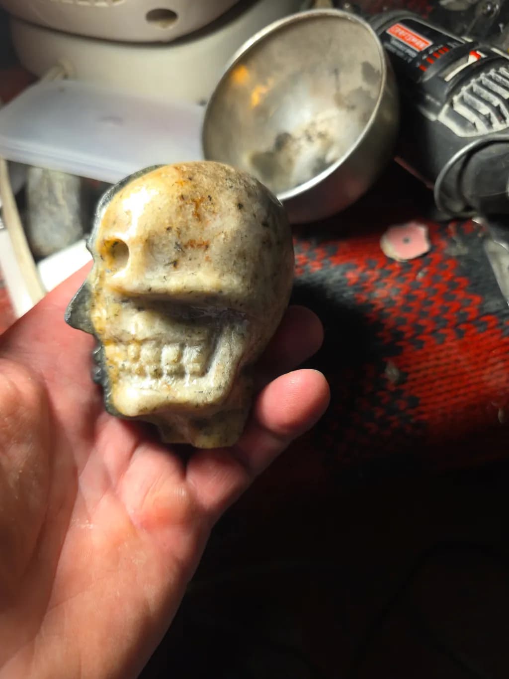 Speckled Skull Carving