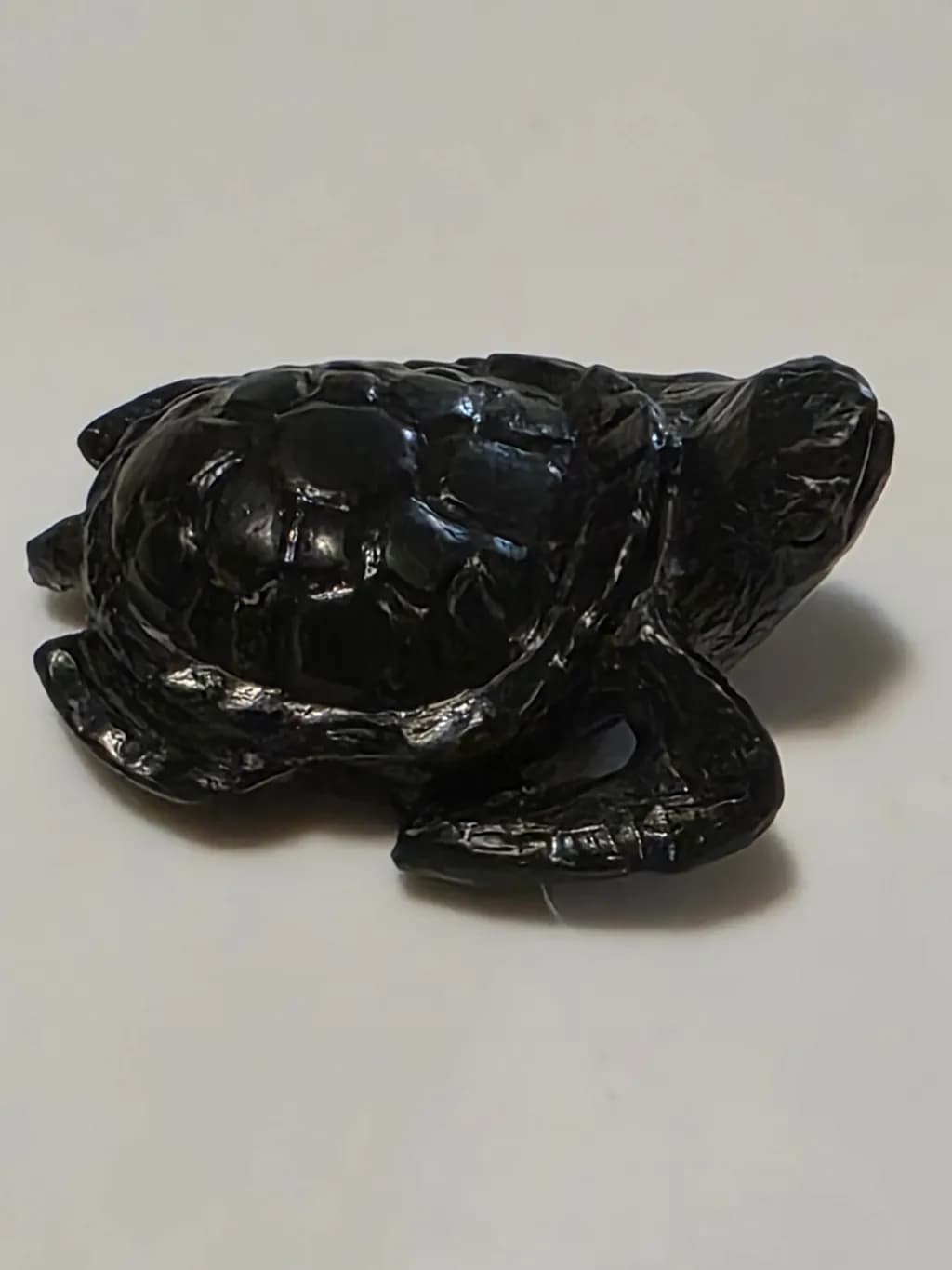 Obsidian Turtle
