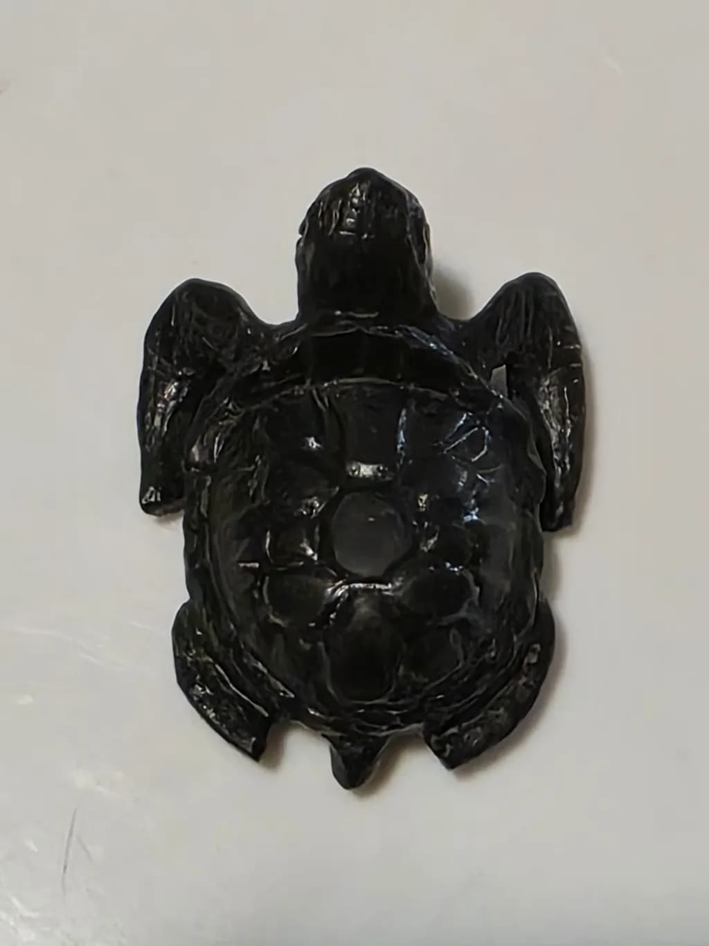 Black Shell Sentinel