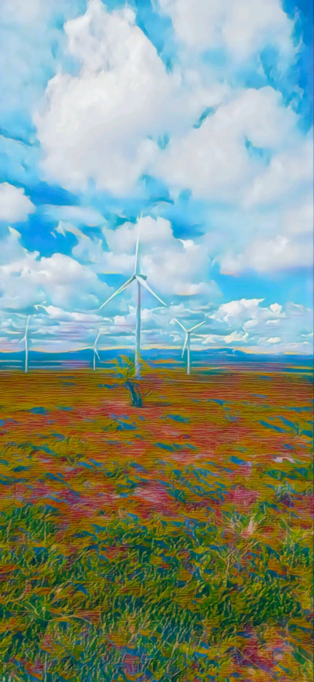 Windmill Groove