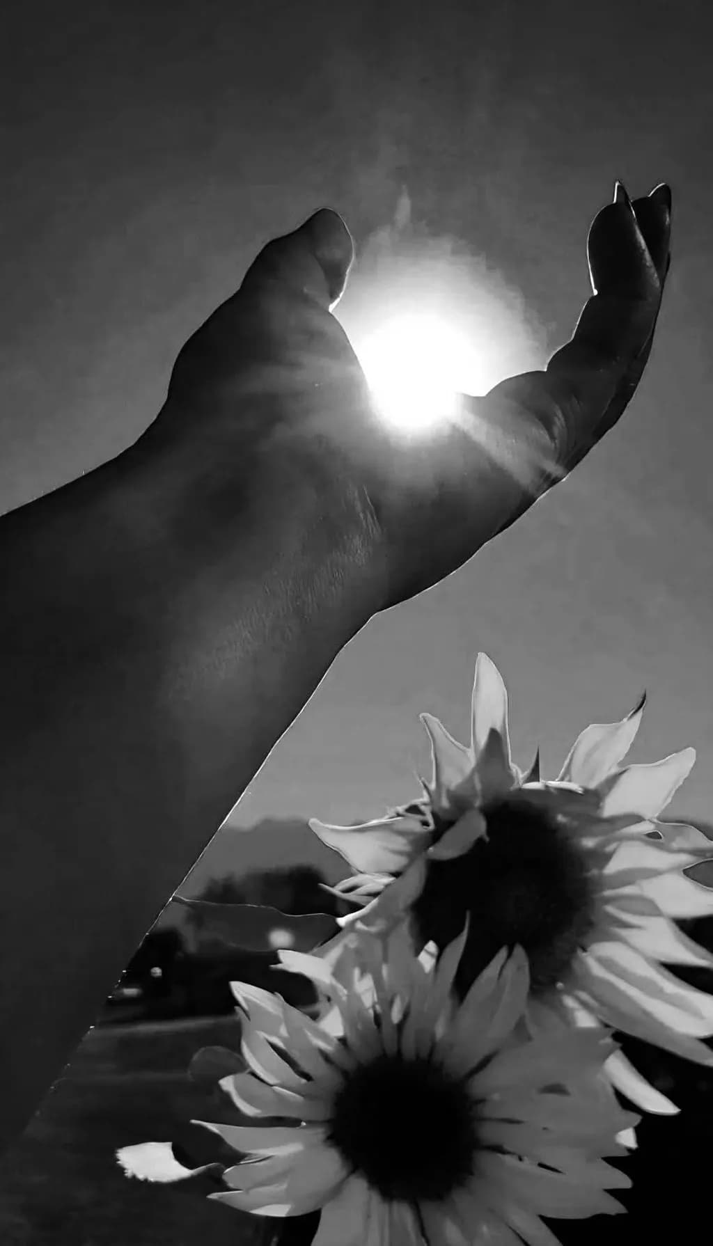 Sunlight Reach