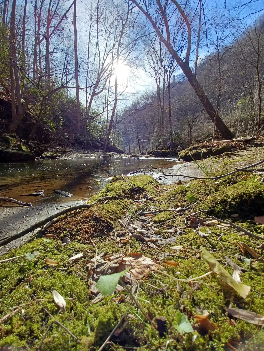 Mossy Stream Glow