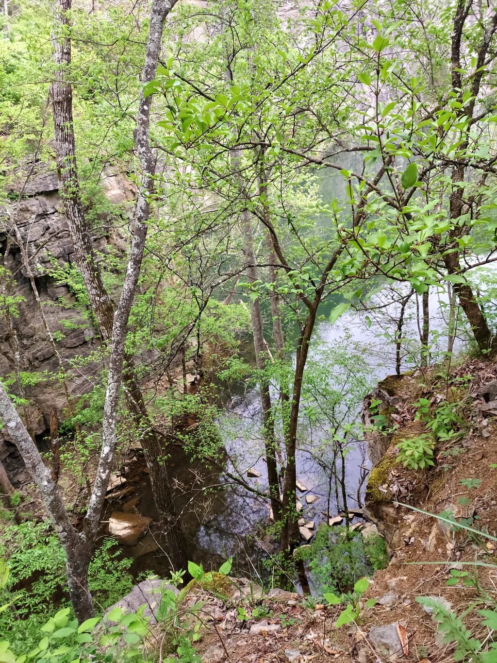 Quiet Stream Reflection
