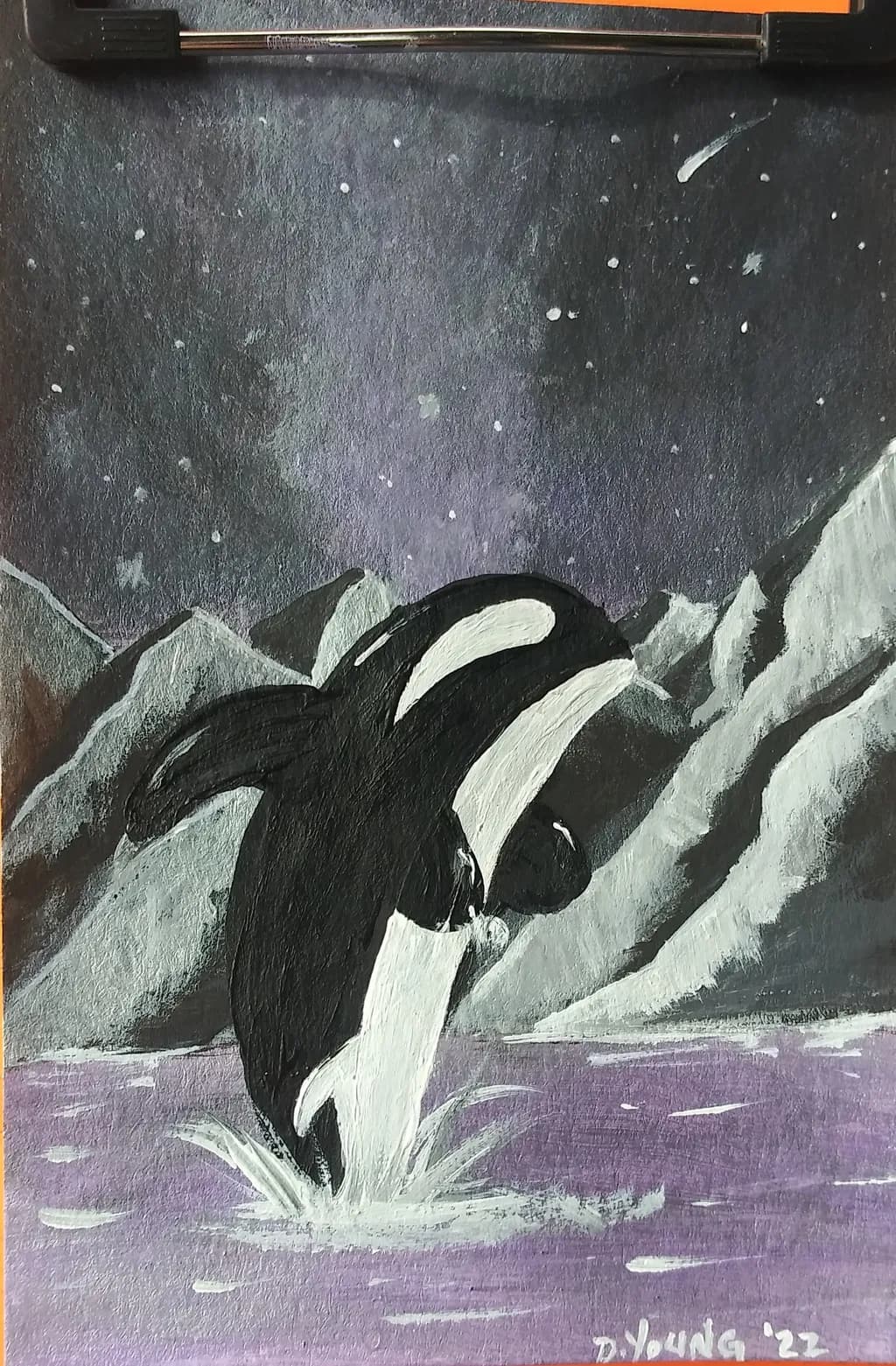 Midnight Leap