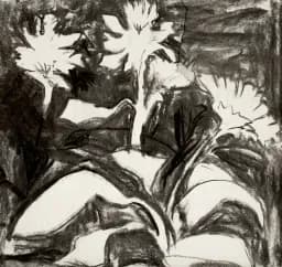 Undergrowth study