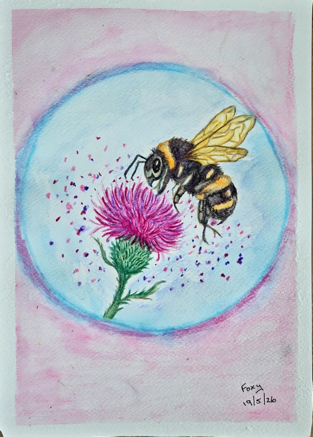 Thistle Pollination