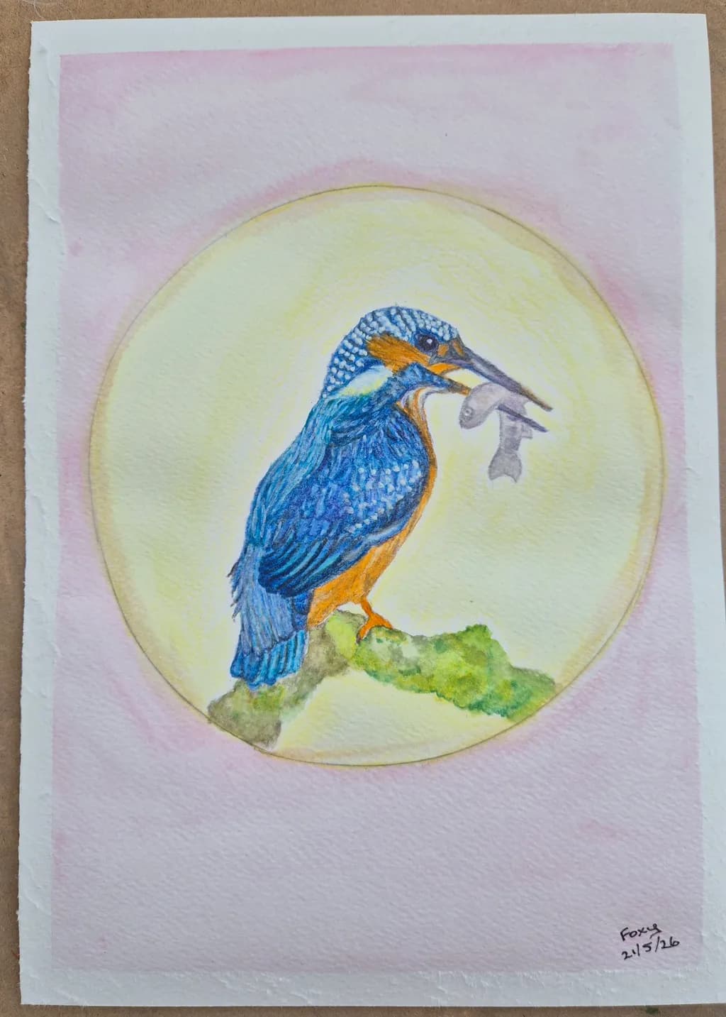 Kingfisher Catch
